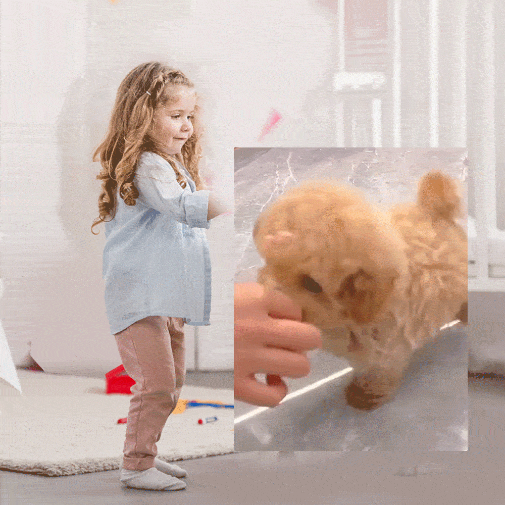 Le Chiot Réaliste – L’émotion d’un vrai chiot, sans les contraintes