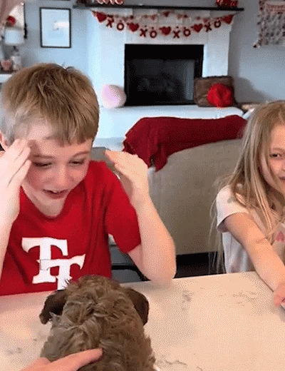 Le Chiot Réaliste – L’émotion d’un vrai chiot, sans les contraintes